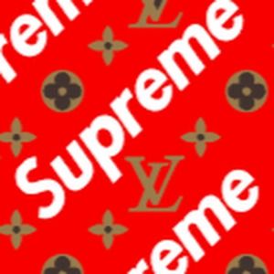 Meet your Posher, Dylan d